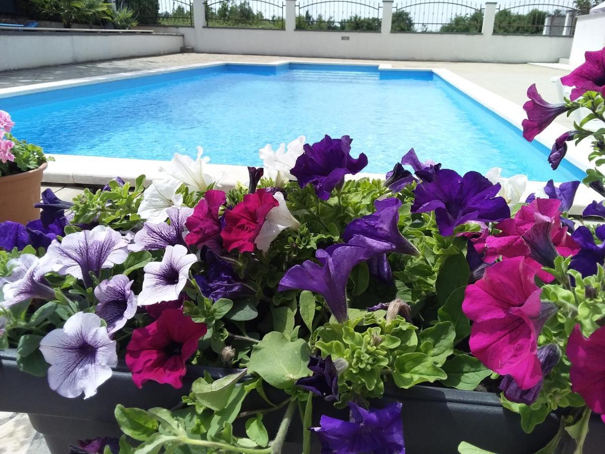House Apartments Ariamare بوريتش المظهر الخارجي الصورة
