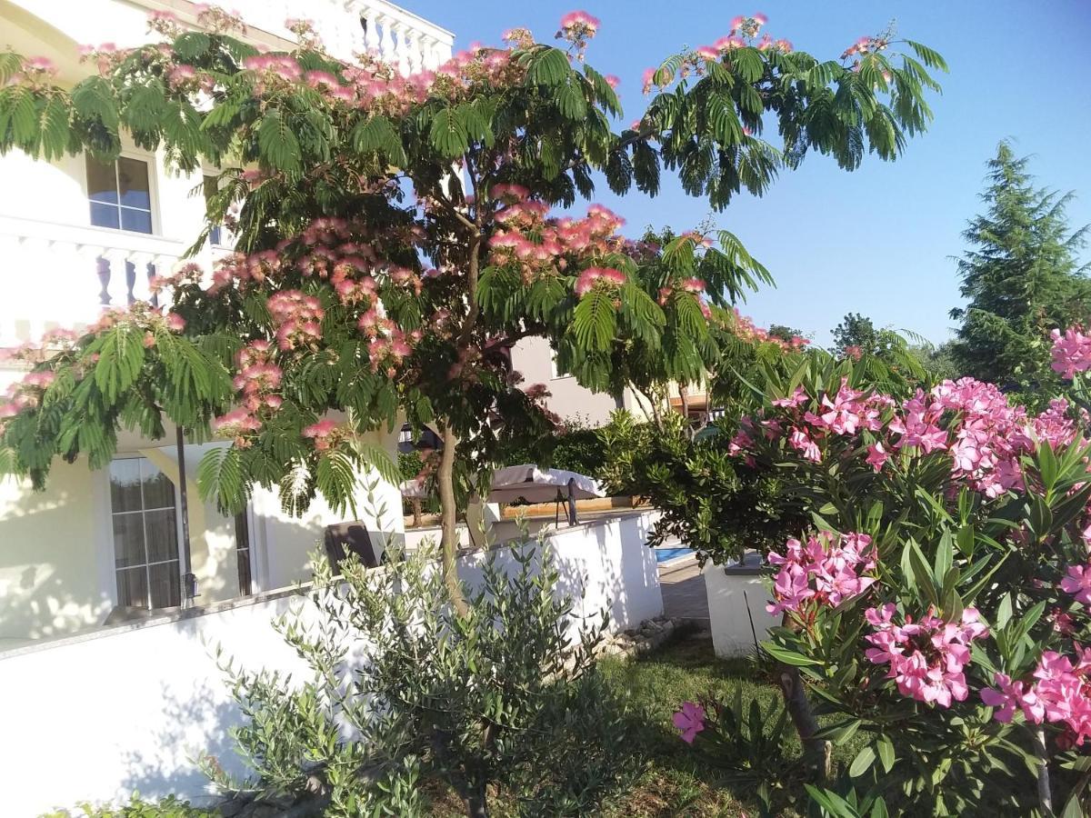 House Apartments Ariamare بوريتش المظهر الخارجي الصورة