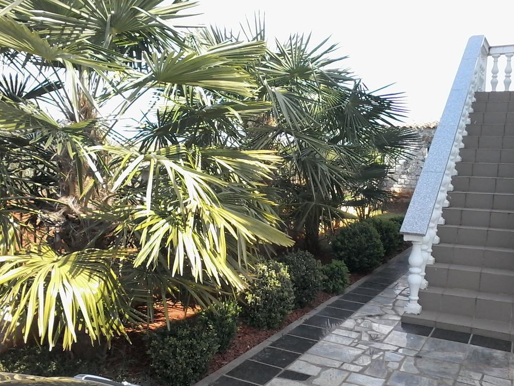 House Apartments Ariamare بوريتش المظهر الخارجي الصورة