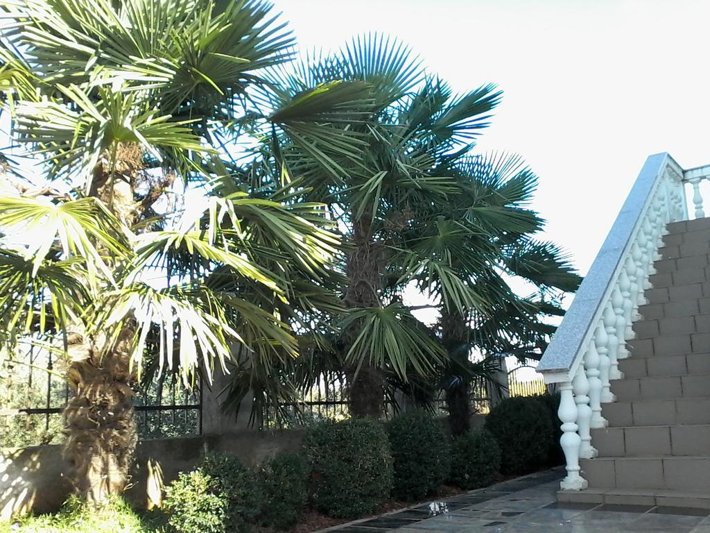 House Apartments Ariamare بوريتش المظهر الخارجي الصورة